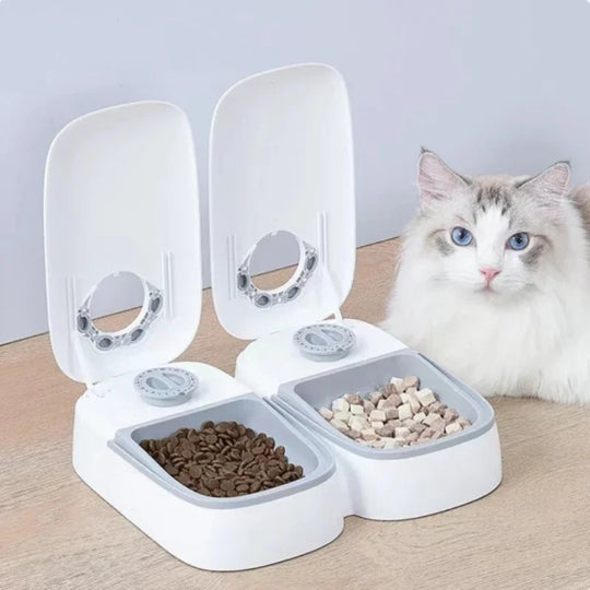 automatic dog cat feeder water bowl