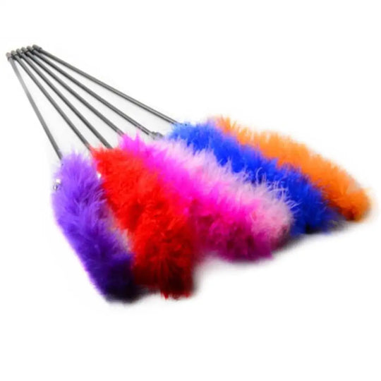 interactive cat toy wand with feather